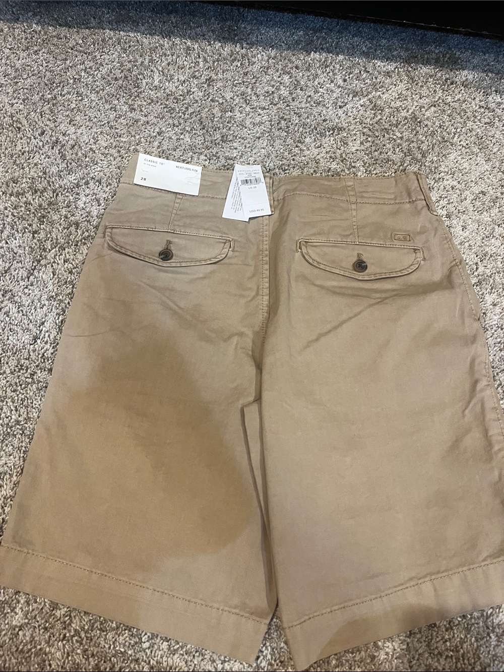 American Eagle Outfitters Khaki Flat Front Men’s Shorts